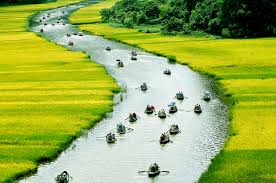 Vietnam: le tableau culturel de 2014